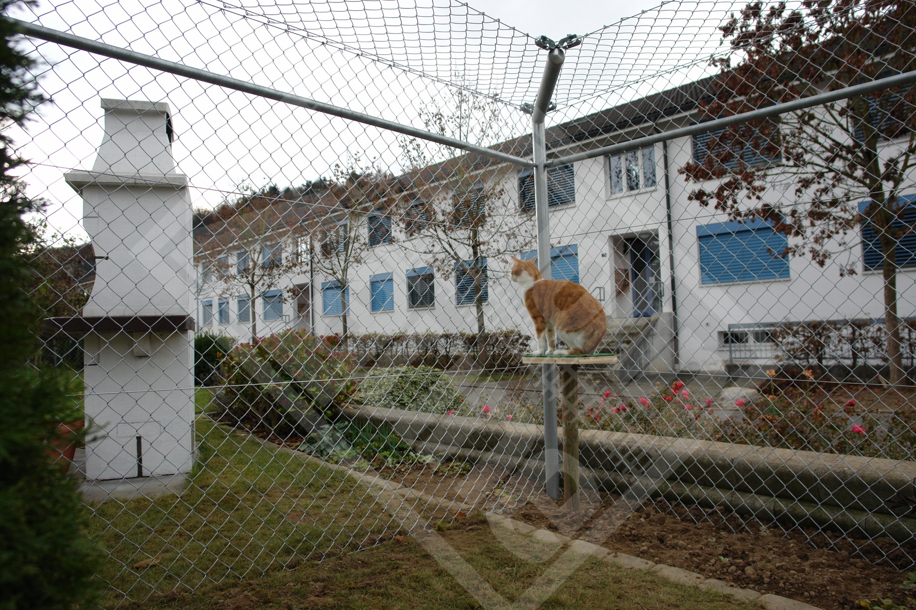 2 Katzengehege, Diagonalgeflechtzaun mit 90° Winkel nach innen, verzinkt