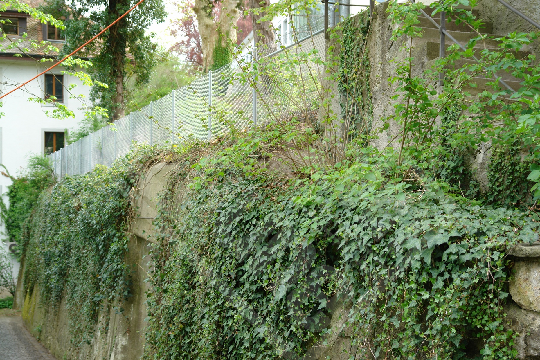8 Absturzsicherung entlang Fussweg auf Mauer