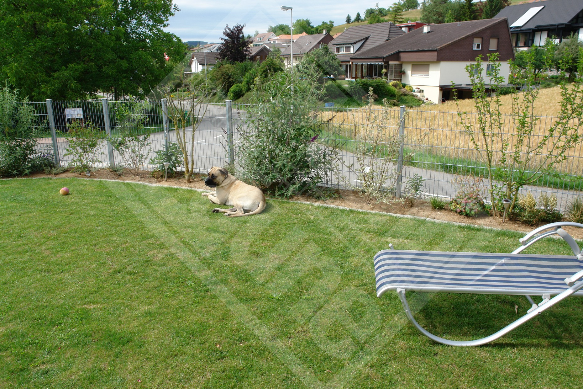 5.3.11 Hundespielraum, Doppelstab-Gittermattenzaun verzinkt