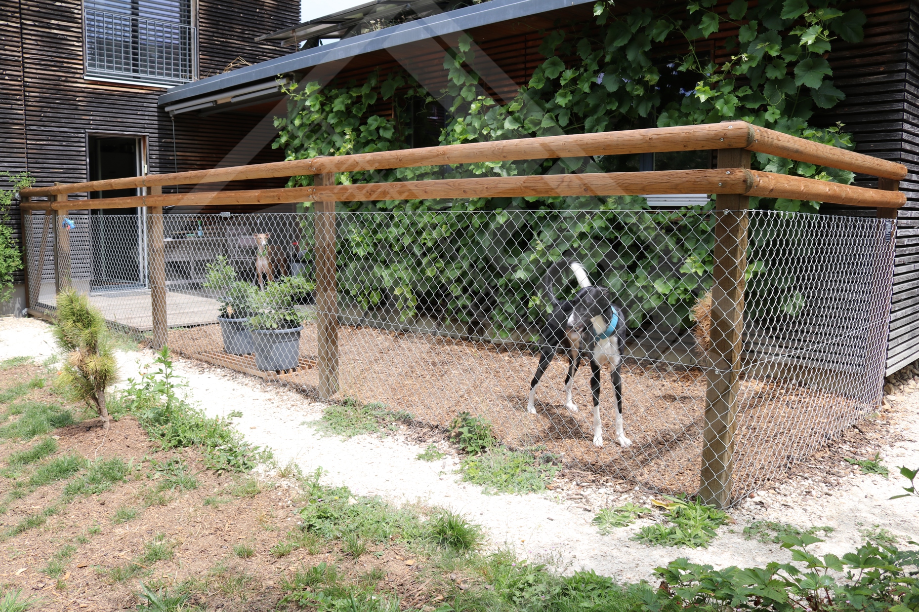 3 Hundegehege, Diagonalgeflechtzaun mit Lärchenpfosten und Halbrundlatten