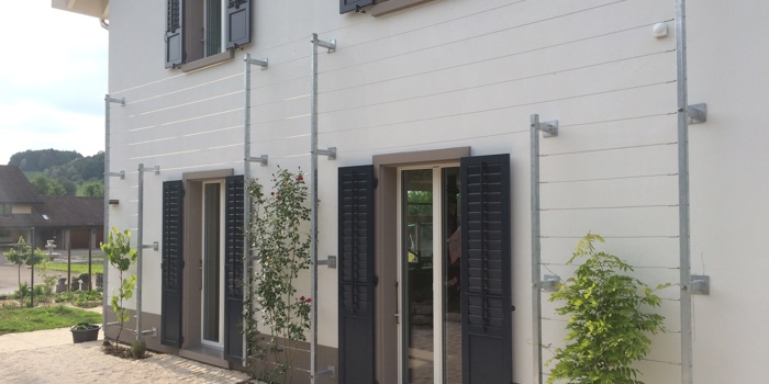 Fassadenbegrünungen / Pergola
