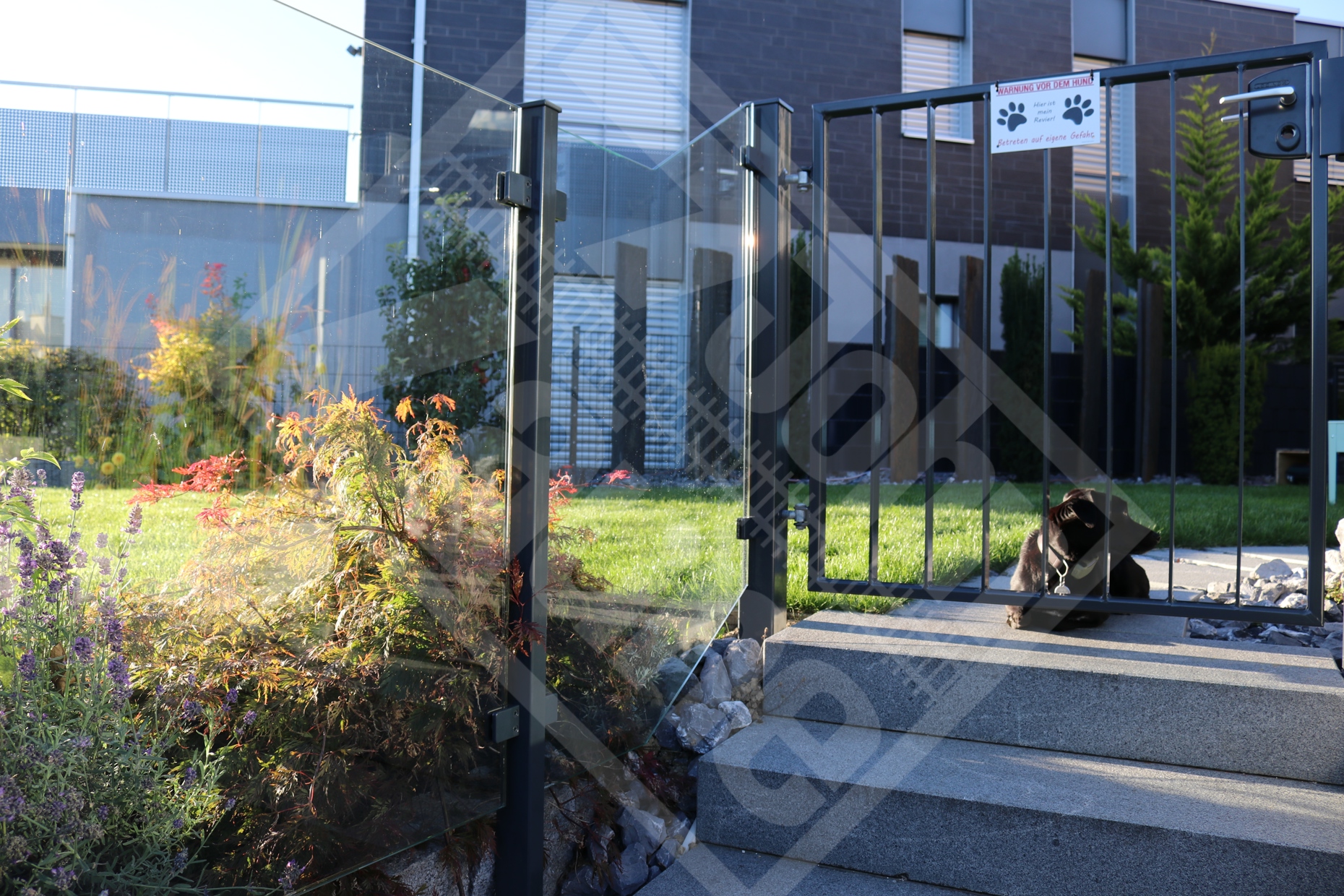 15 Glasgeländer und Geländertüre anthrazitgrau - hundesicher durch geringen Bodenabstand