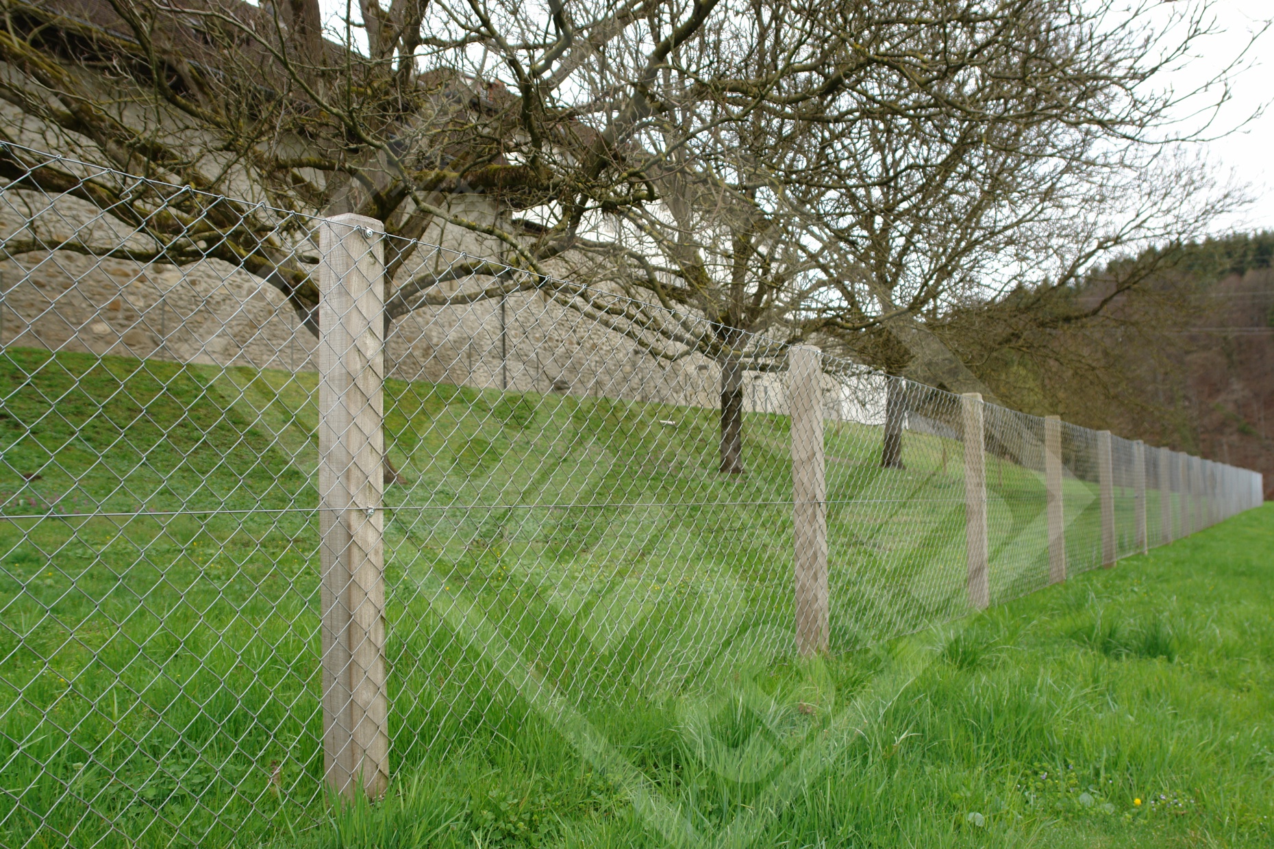 16 Diagonalgeflechtzaun mit Akazienpfosten
