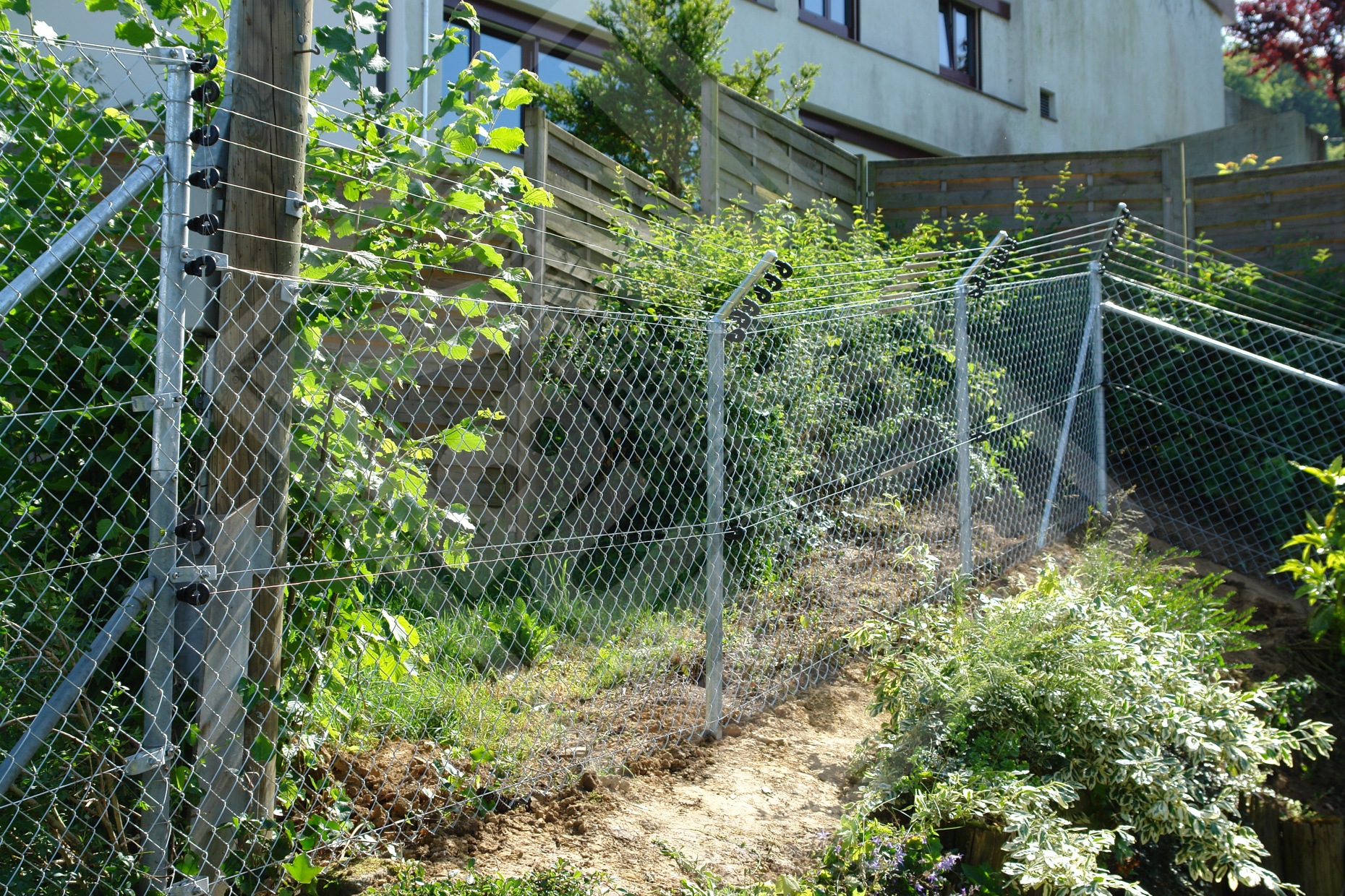 5.4.6 Katzengehege, Diagonalgeflechtzaun verzinkt mit Stromdrähten