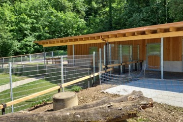 Rammschutz für Geissbock Tierpark Bad Zurzach