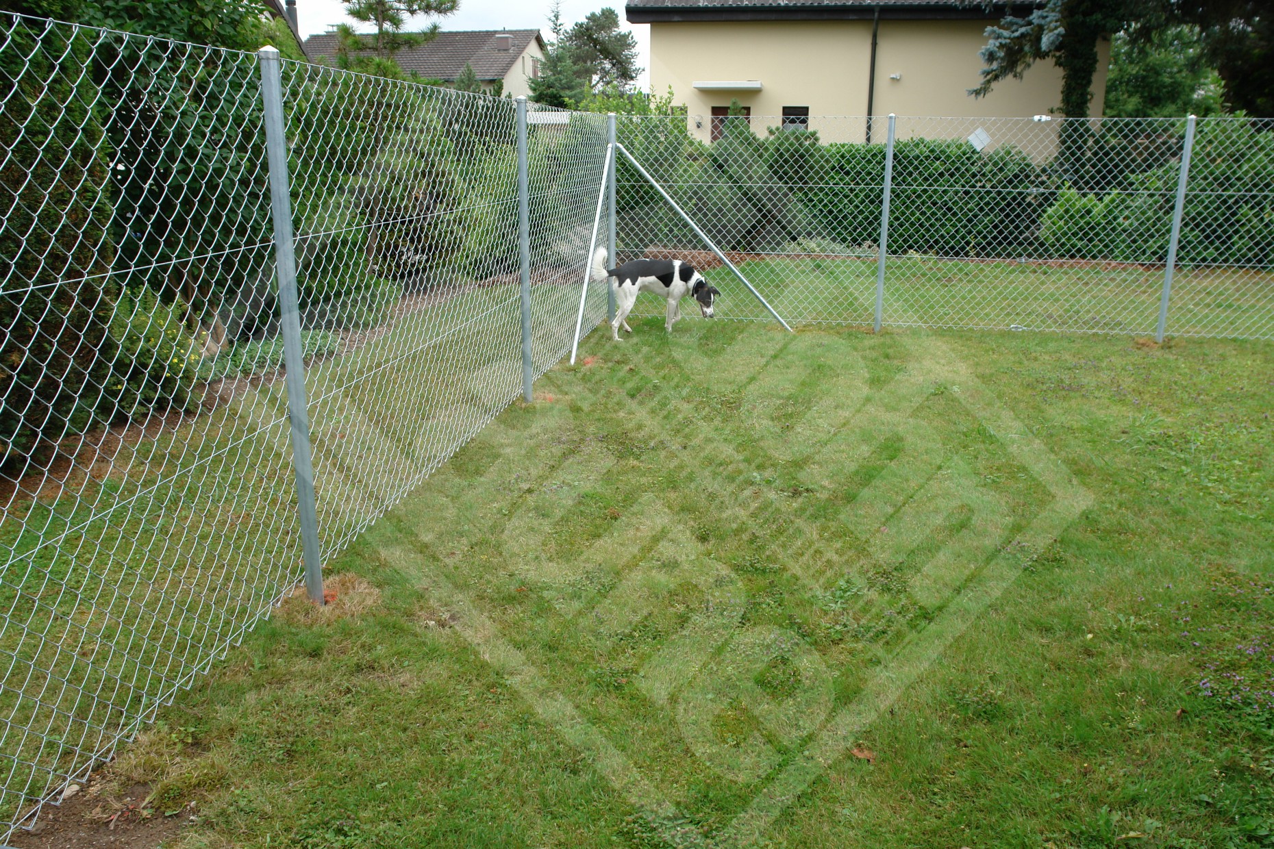 5 Hundespielraum, Diagonalgeflechtzaun verzinkt