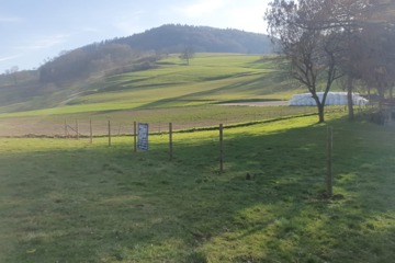 Zaunprovisorium Weidezaun mit Knotengitter und Rundholzpfosten in Kaisten / Ittenthal