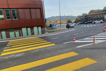 Diagonalgeflechtzaun in Baden