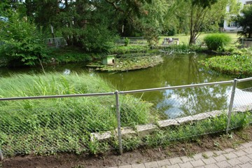 Hühner/Enten und Vogelvolieren