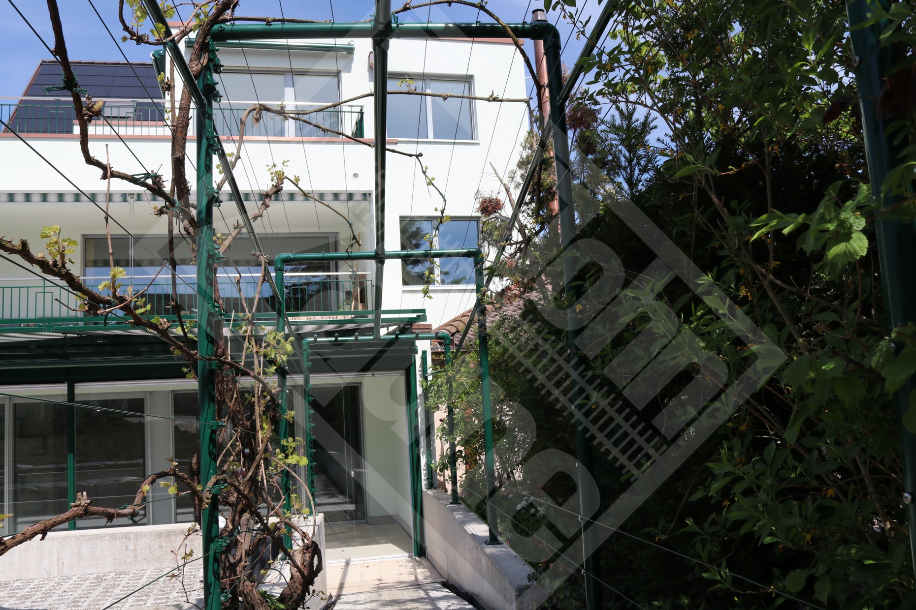 10 Laubengang moosgrün beschichtet