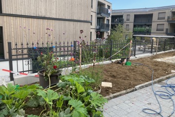 Schmiedeisenzaun beschichtet in Eiken