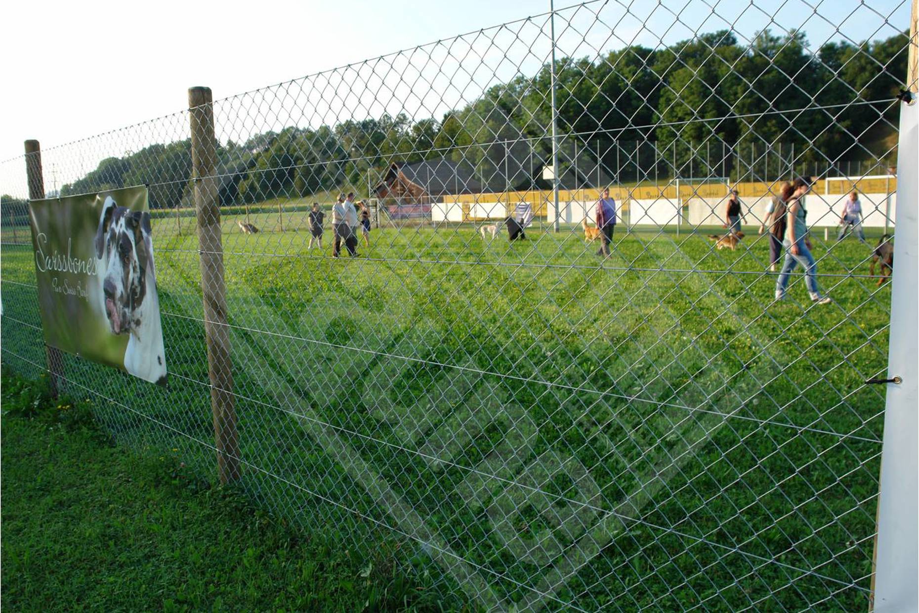 4 Hundespielplatz, Diagonalgeflechtzaun verzinkt mit Tannenpfosten