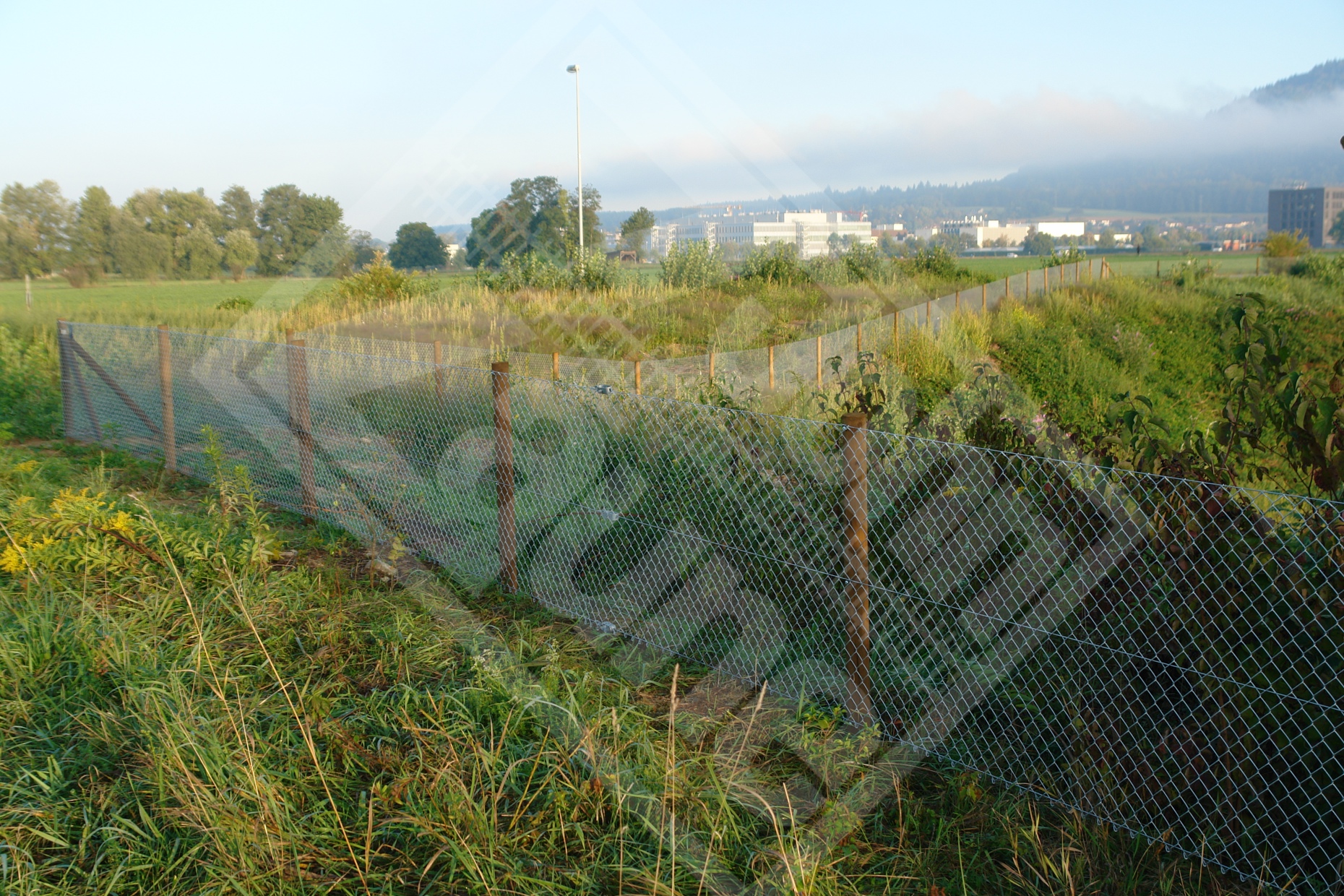 13 Diagonalgeflechtzaun mit Tannenpfosten