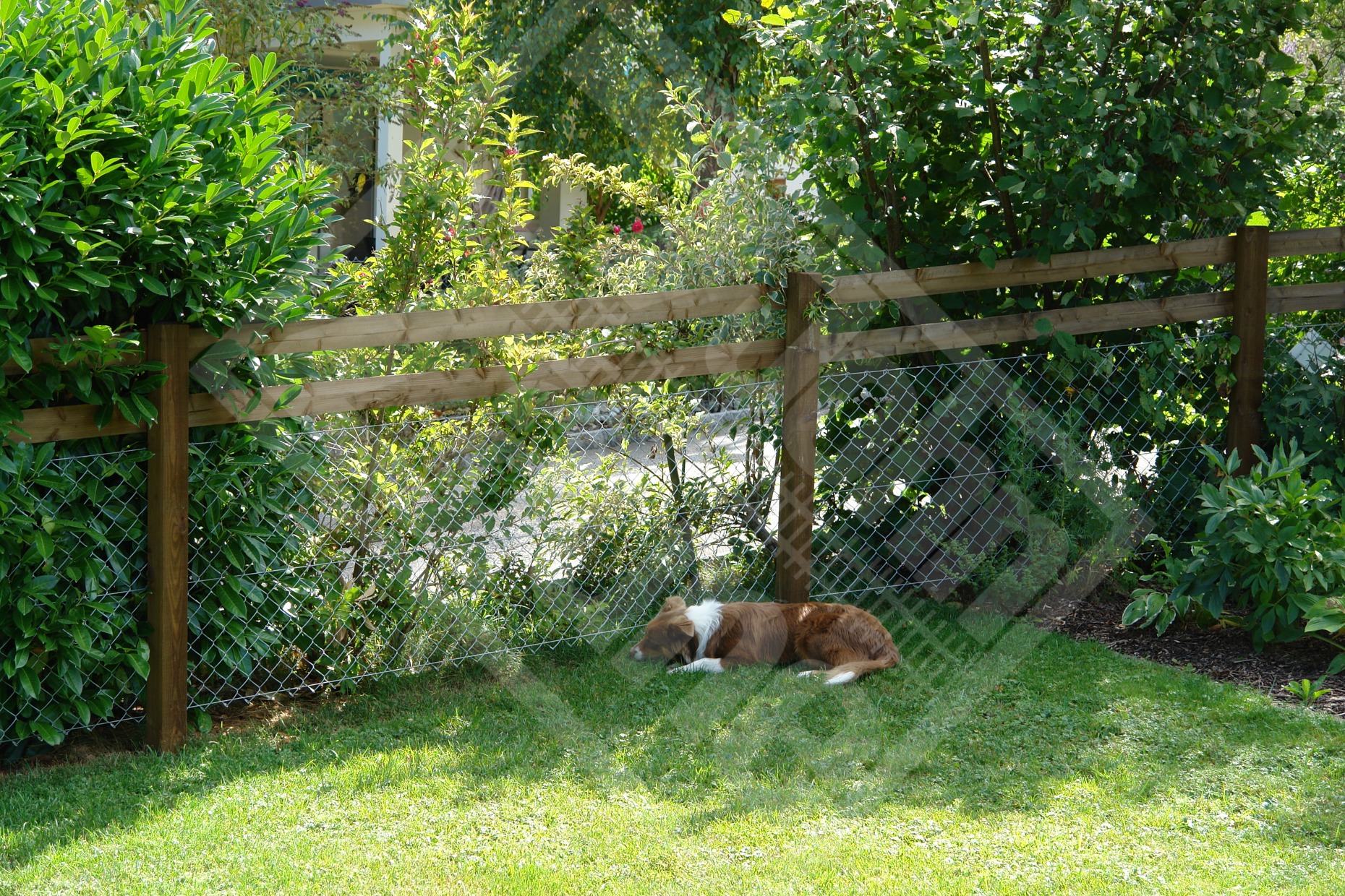 2 Hundespielraum, Diagonalgeflechtzaun verzinkt mit Lärchenpfosten und Halbrundlatten