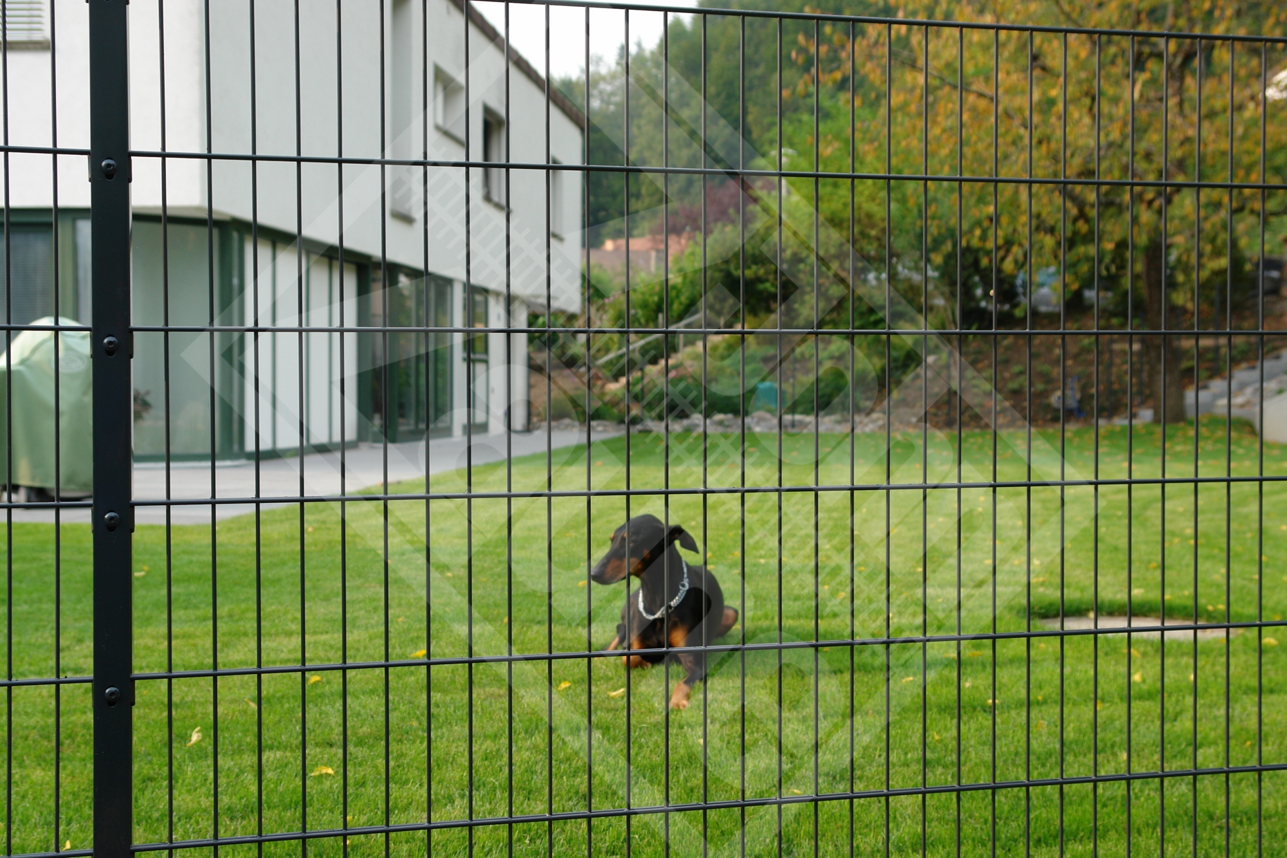 12 Hundespielraum, Doppelstab-Gittermattenzaun verzinkt u. beschichtet