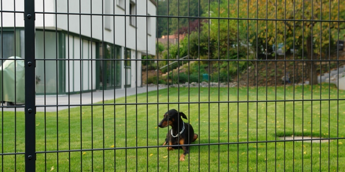 Tiergehege und Volieren