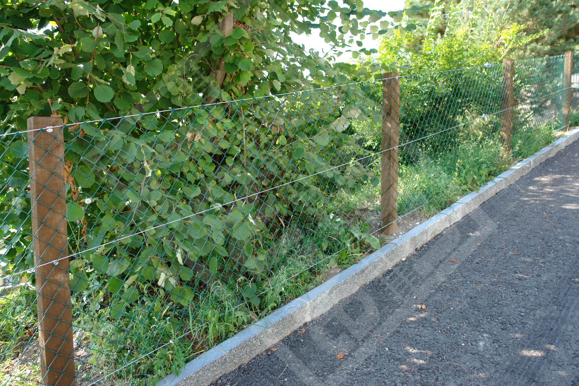 20 Diagonalgeflechtzaun verzinkt u. beschichtet moosgrün mit Lärchenkantpfosten